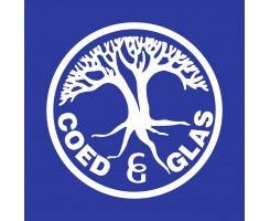 Coed Glas Primary