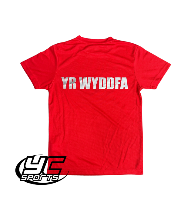 Ysgol Gymraeg Pwll Coch PE T-Shirt House Colours