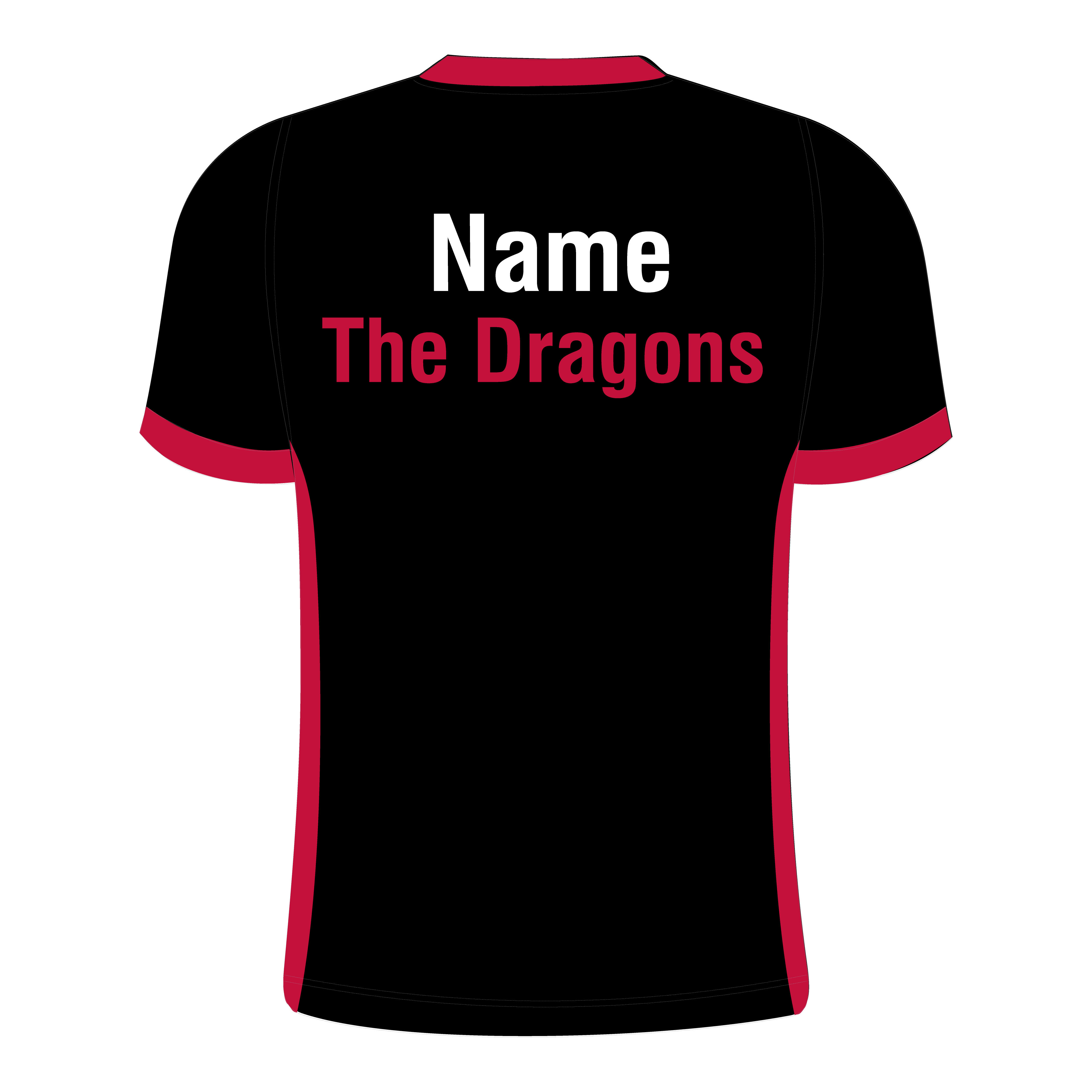 The Dragons T014 Dragon Swoosh V Neck Mens