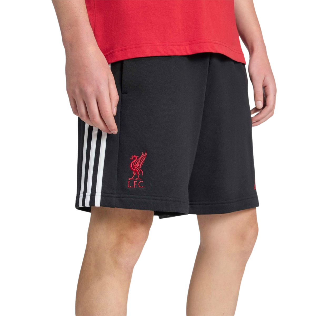 Adidas Liverpool F.C. 25/26 DNA Shorts Men, Black, back view