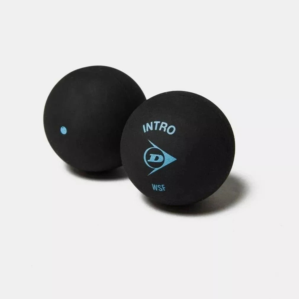 Dunlop Intro Squash Ball x12, Blue, back view