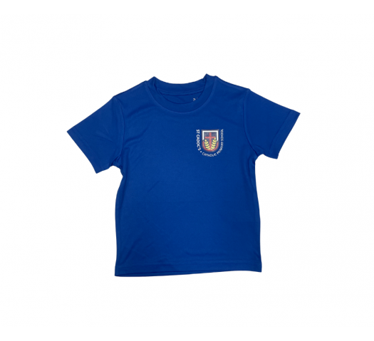 St Cadocs Primary School PE T Royal
