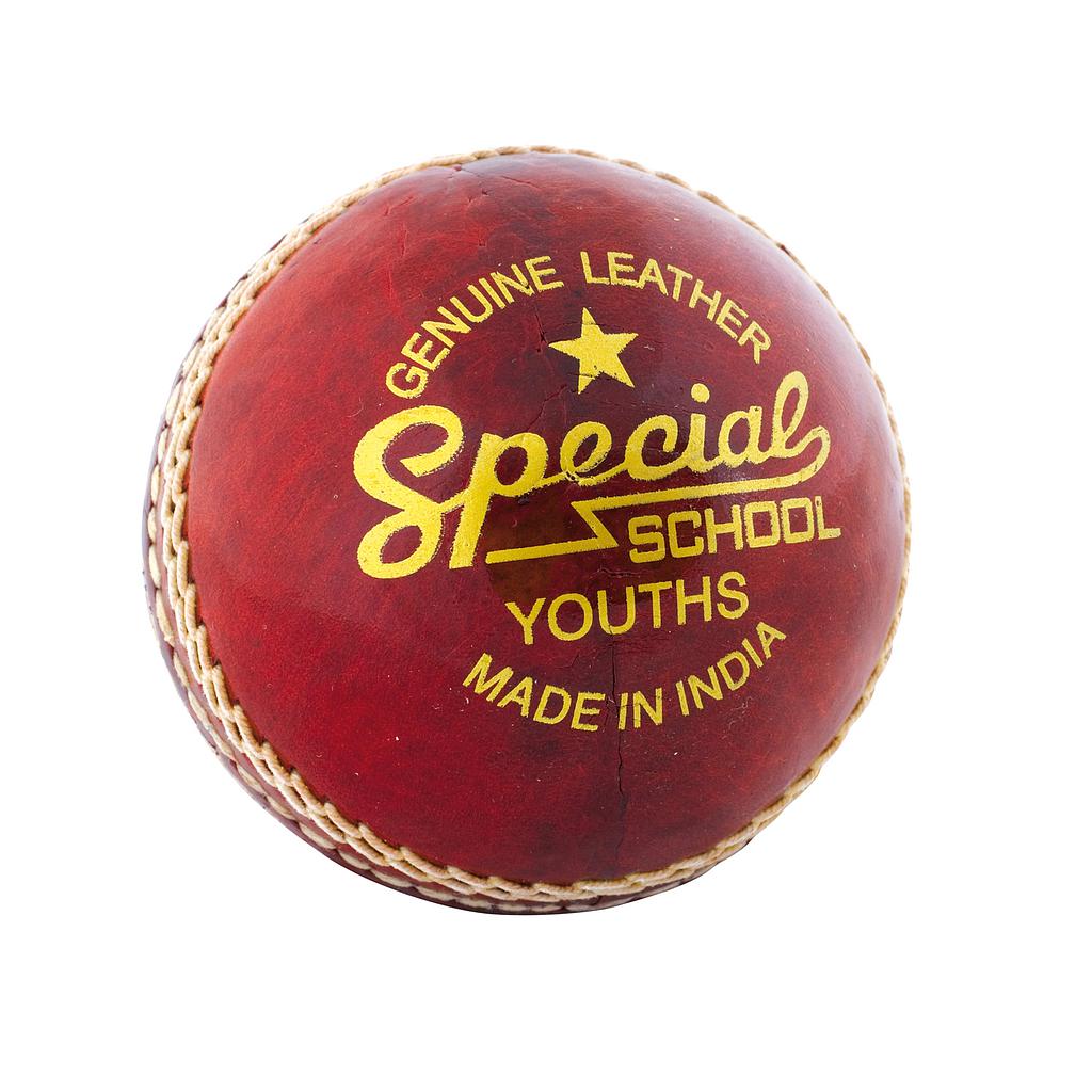 Readers Special School Cricket Ball Readers