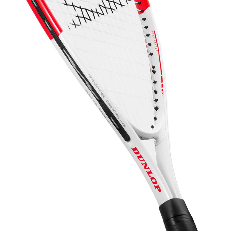 Dunlop 10327816 FUN Mini Squash Racket