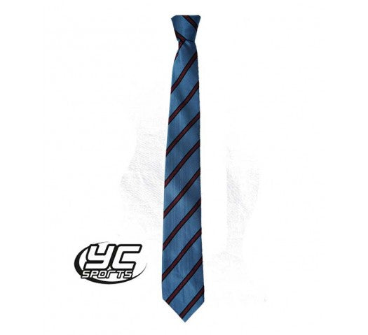 Radyr Comprehensive School Tie Sky/Maroon
