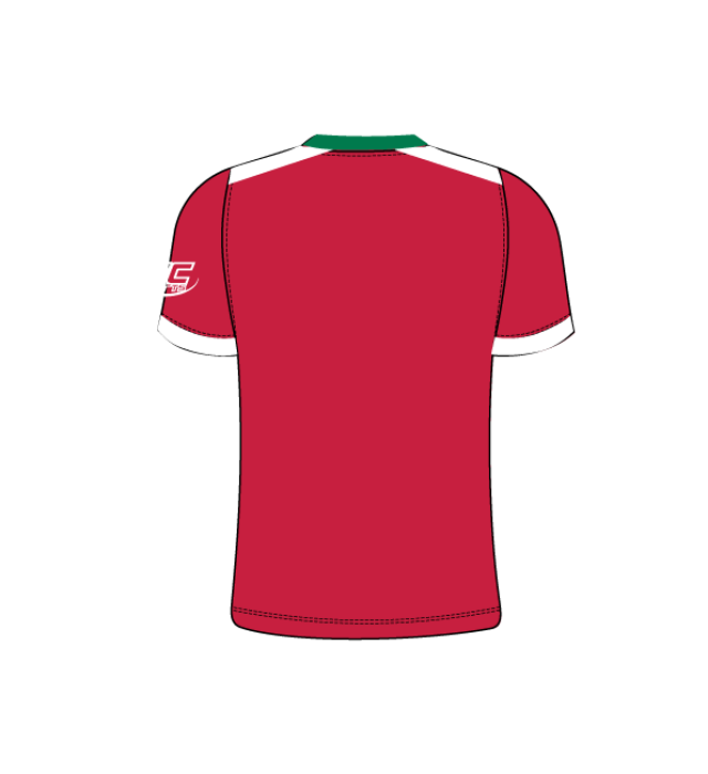 Badminton Wales Training Kit T010 Charge T shirt J