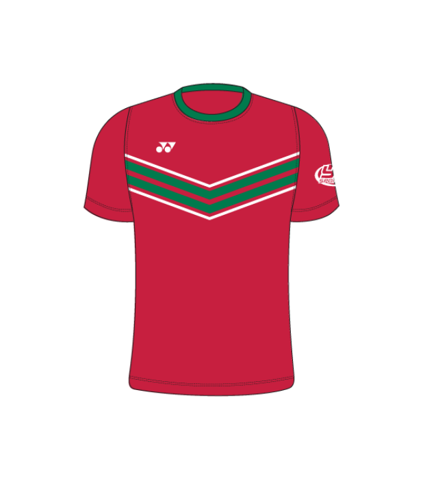 Badminton Wales Training Kit T010 Chevron Tshirt J