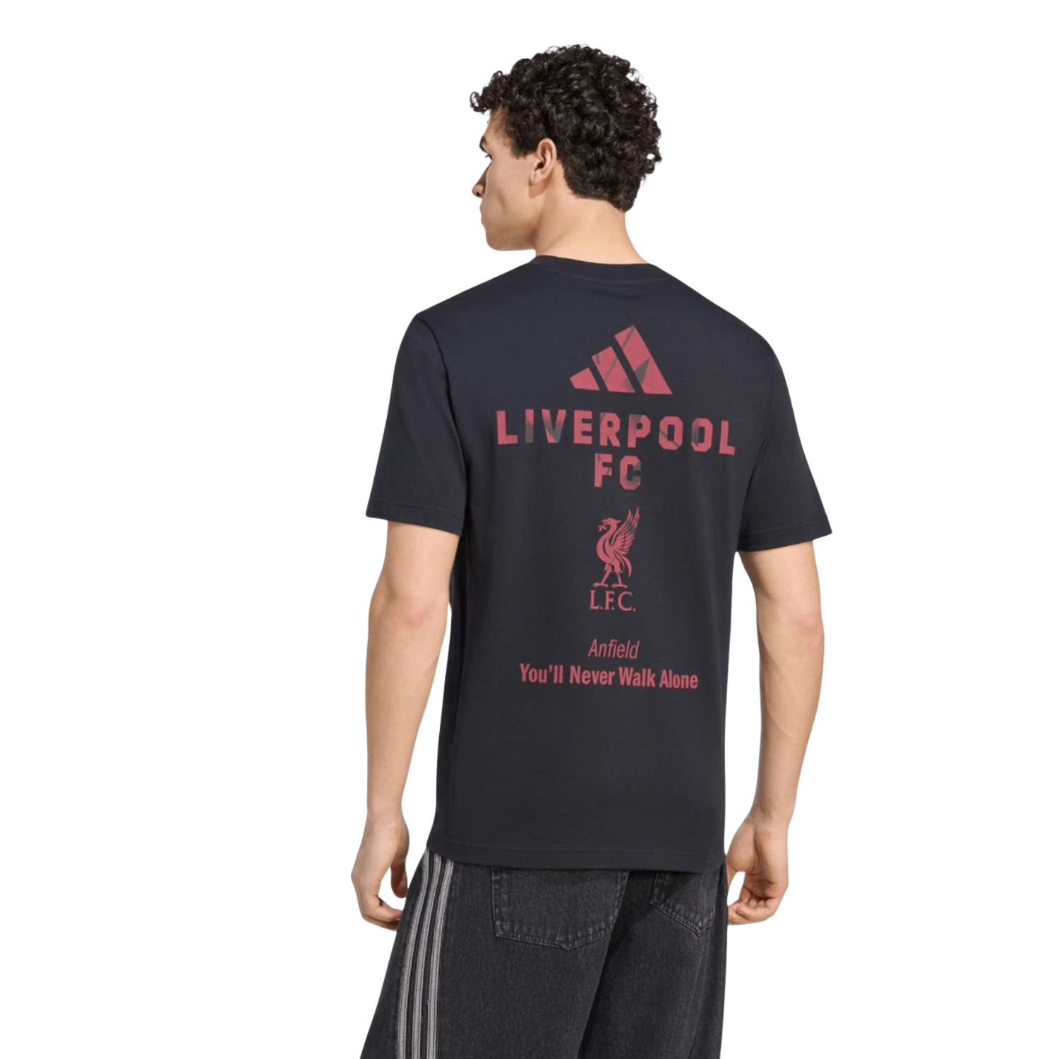 Adidas Liverpool F.C. 26/27 Seasonal Graphic T-Shirt Men - Black by Adidas
