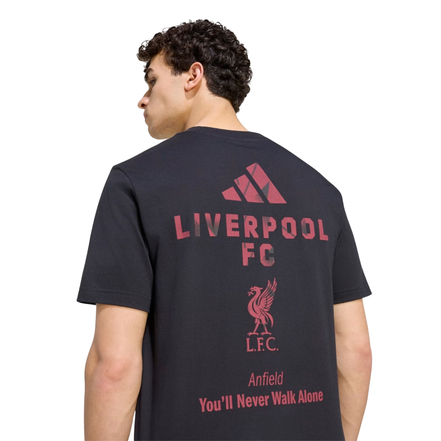 Adidas Liverpool F.C. 26/27 Seasonal Graphic T-Shirt Men - Black by Adidas