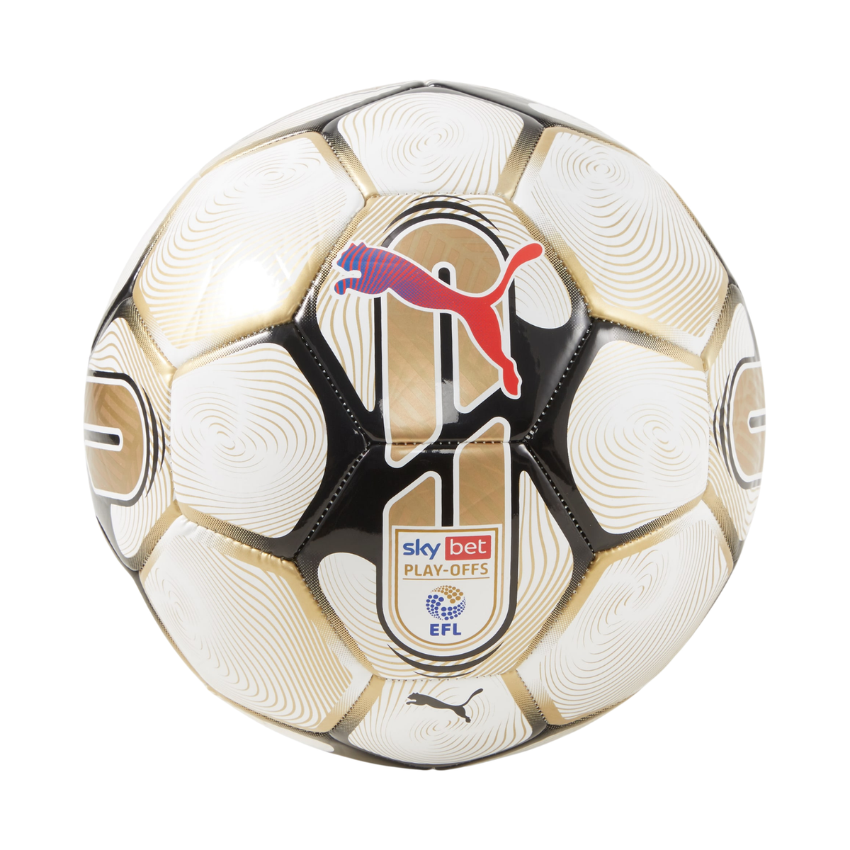 Puma Orbita 6 MS EFL Football - White White Footballs Puma