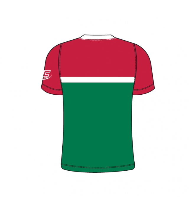 Badminton Wales Masters County Championship Kit - T006 Power Shirt (Mens)