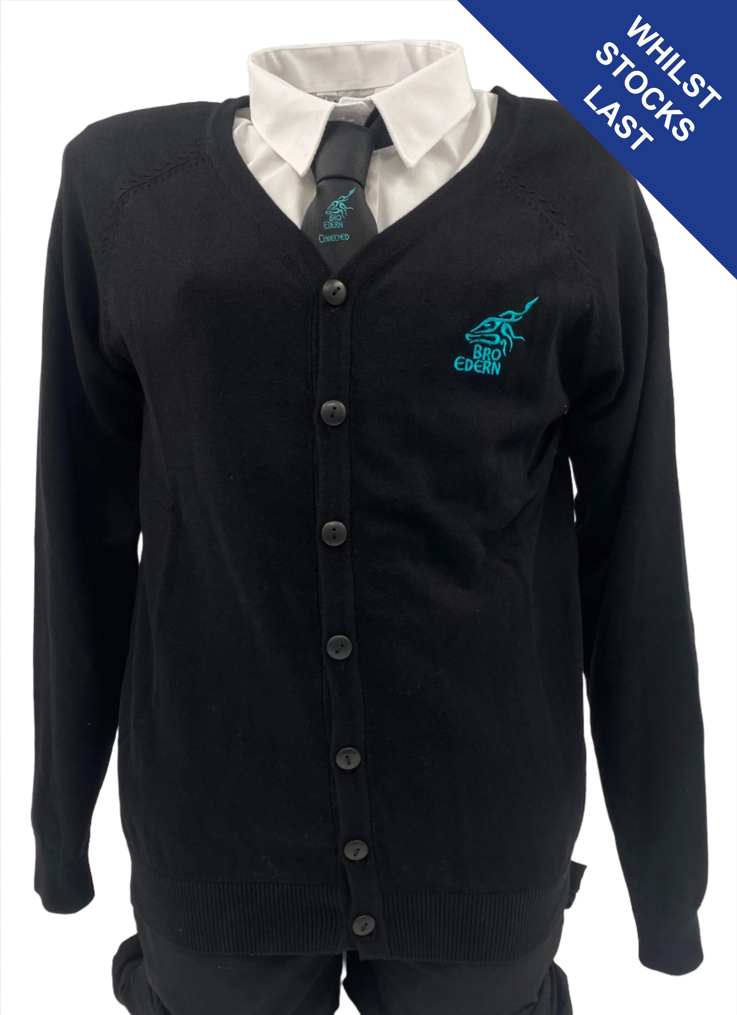 Ysgol Gyfun Gymraeg Bro Edern Cardigan