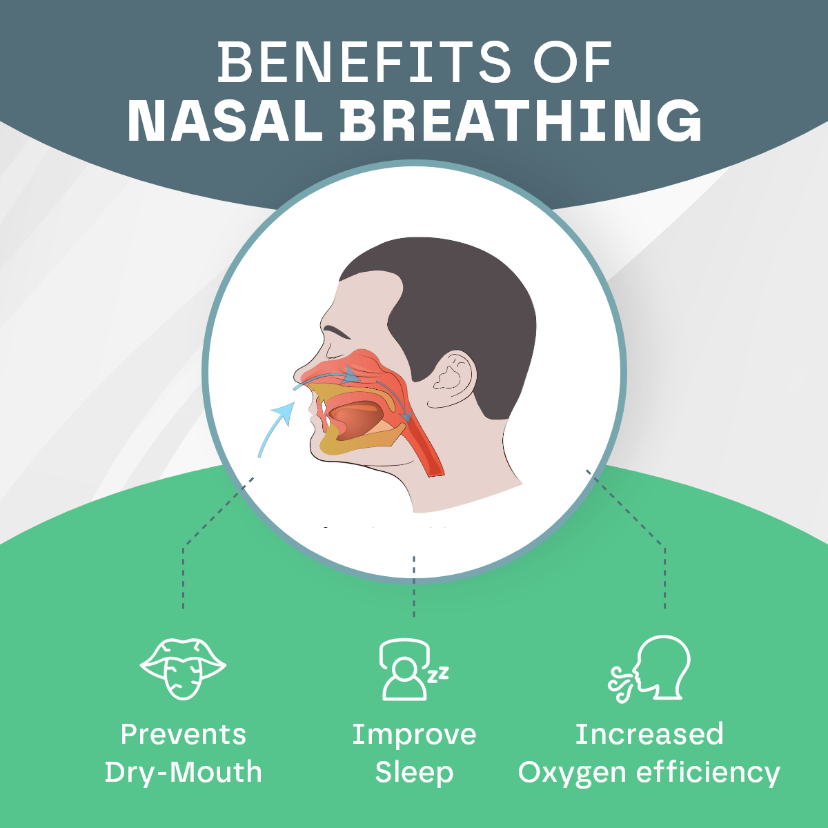 Mouth Sleep Tape (30 Pack) Snooze Therapy