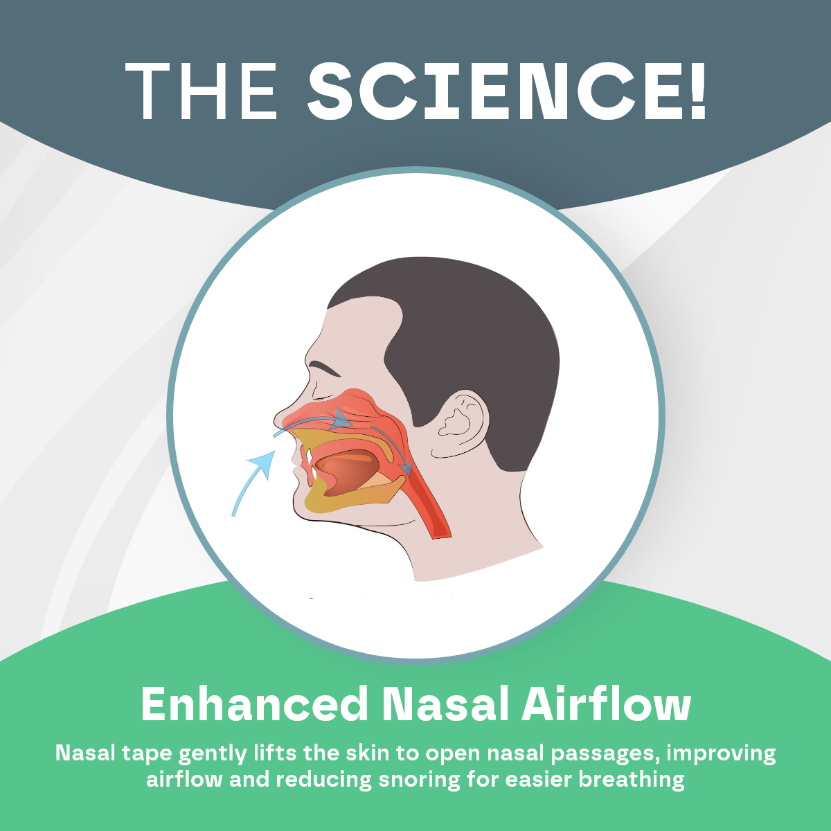 Nose Breathing Nasal Strips (30 Pack) Snooze Therapy