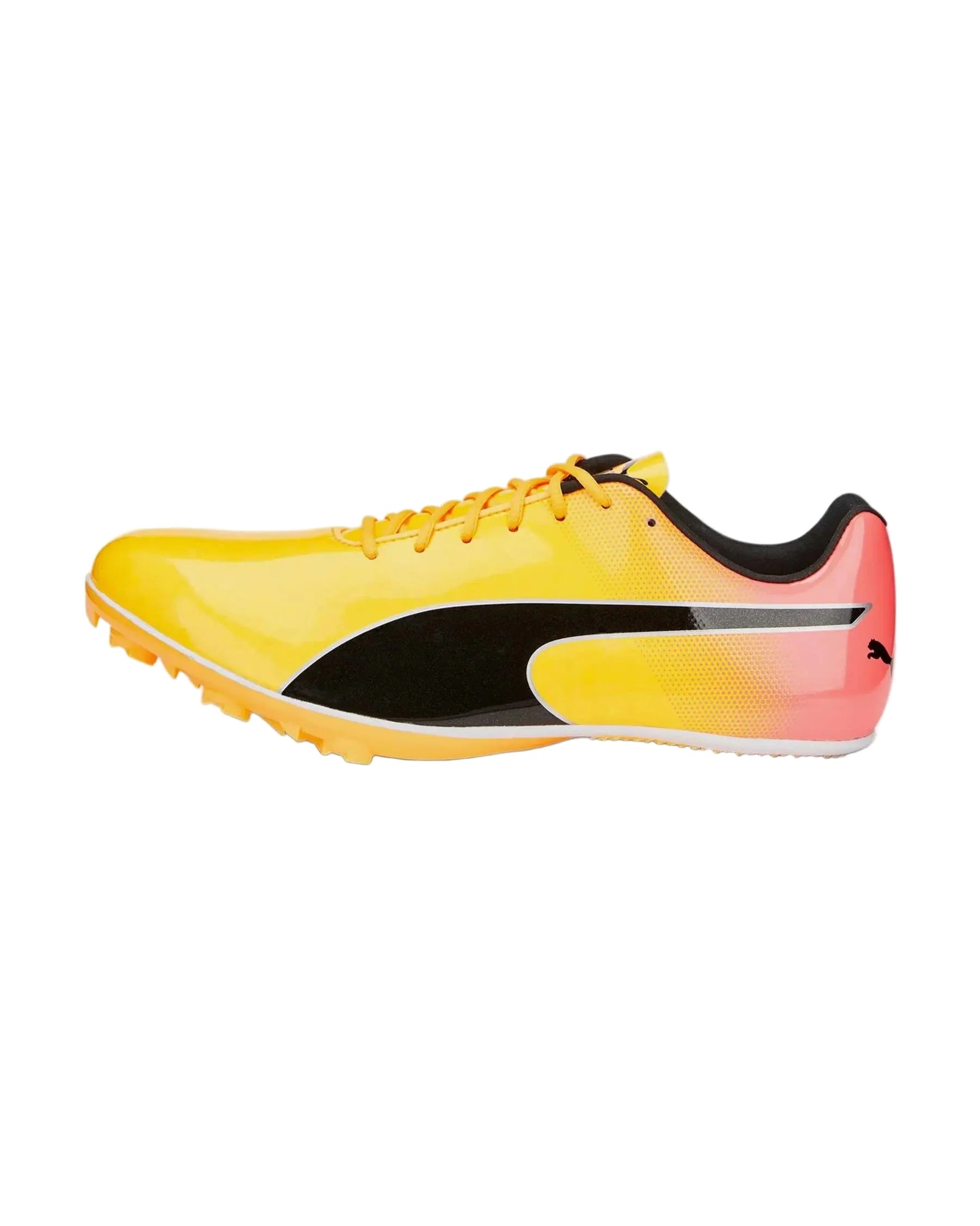 Puma Evospeed Sprint 14 Running Shoe Unisex - Yellow Sun Stream Sunset Glow Puma Black Running Shoes Puma