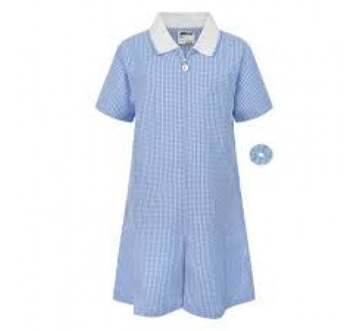 Zeco Gingham Dress (Sky)