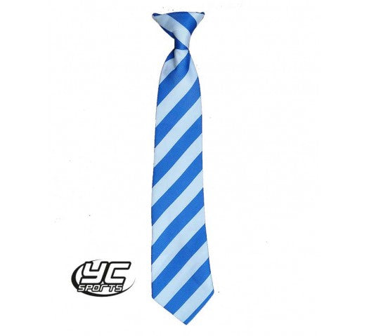 Llanishen High School Tie Royal/White