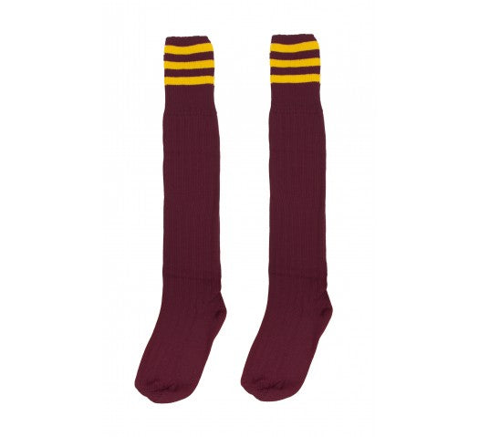 Plasmawr Socks