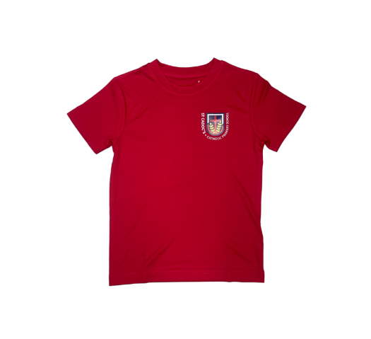St Cadocs Primary School PE T Fire Red