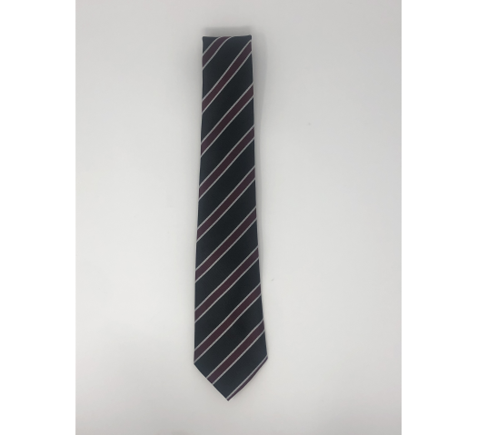 St Teilos CIW 6th Form Tie