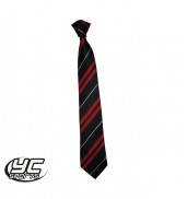 Cardiff High School Tie